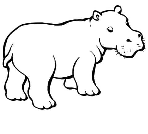 Baby Hippo Coloring Page