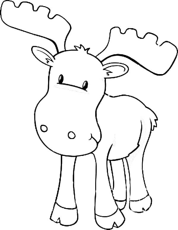 Baby Moose Coloring Free Coloring Page