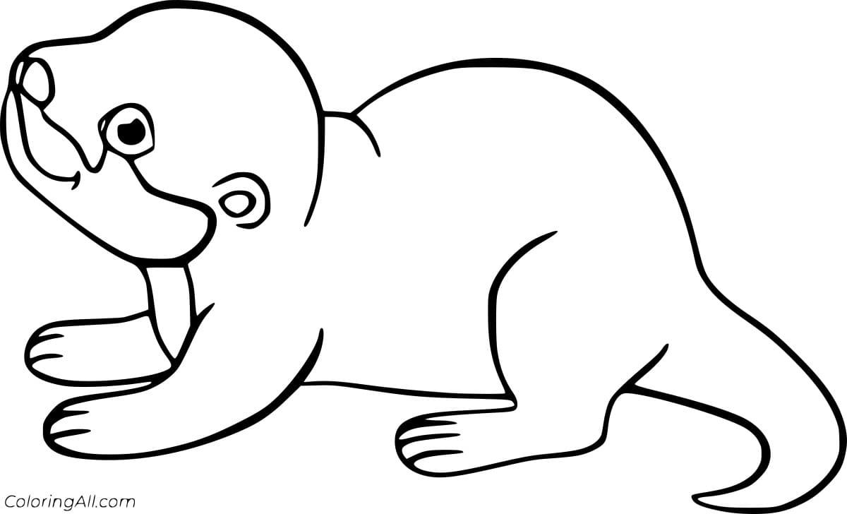 Baby Otter Walking Cute Free Printable Coloring Page