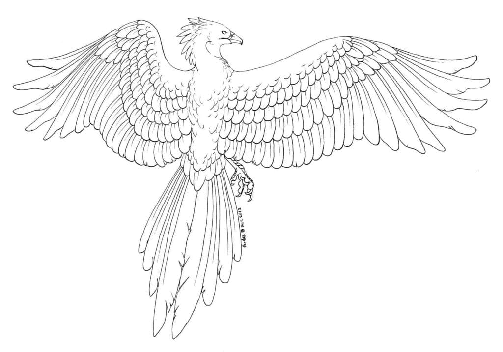 Beautiful Bird Wings Coloring Page