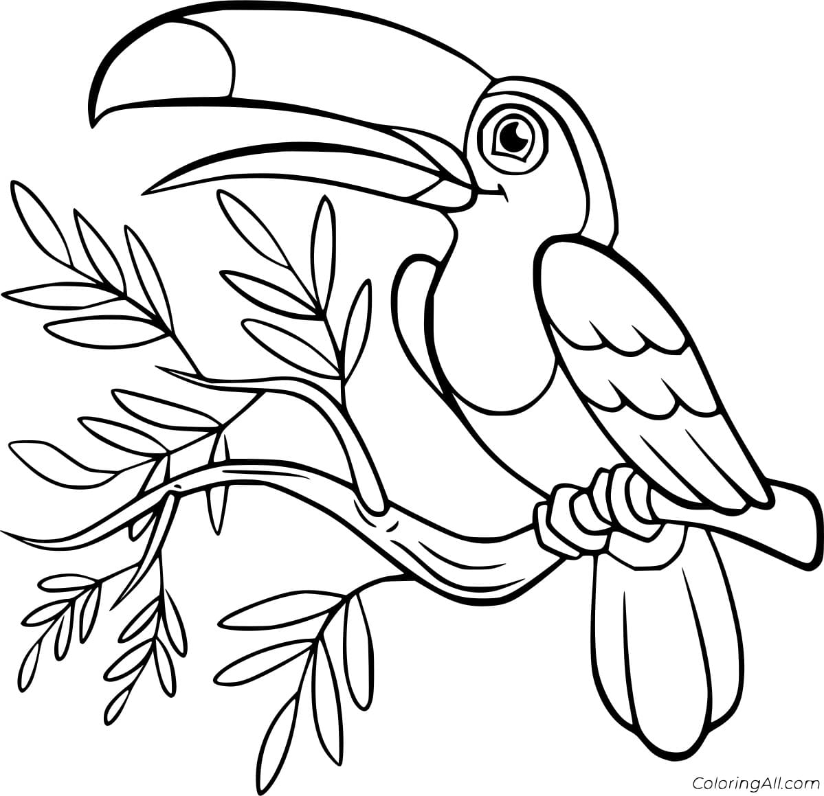 Beautiful Toucan on the Branch Free Printable Coloring Page
