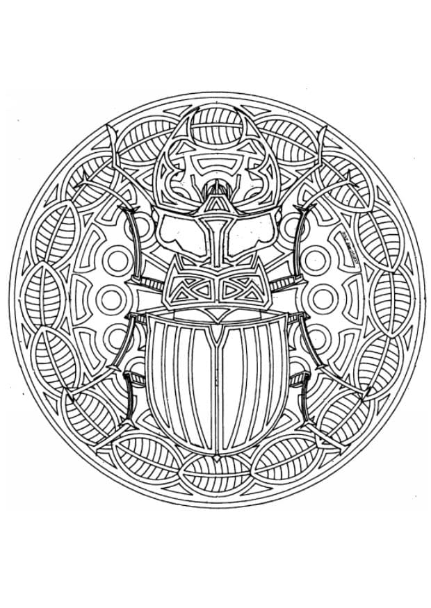 Beetle Animal Coloring Pages for Adults Coloring Page