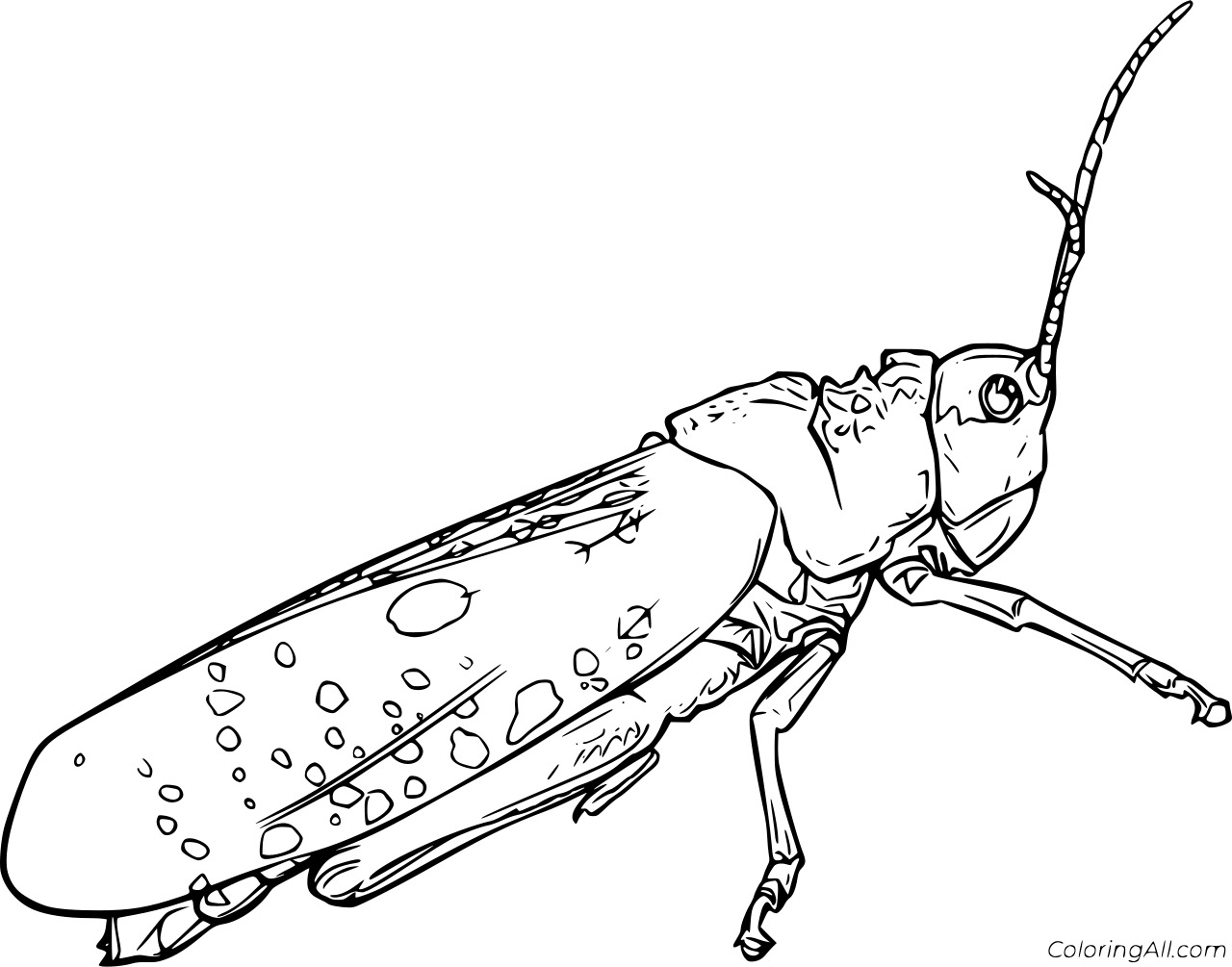 Big Realistic Grasshopper Coloring Page