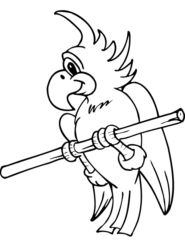 Bird Coloring Parrot Free Coloring Page