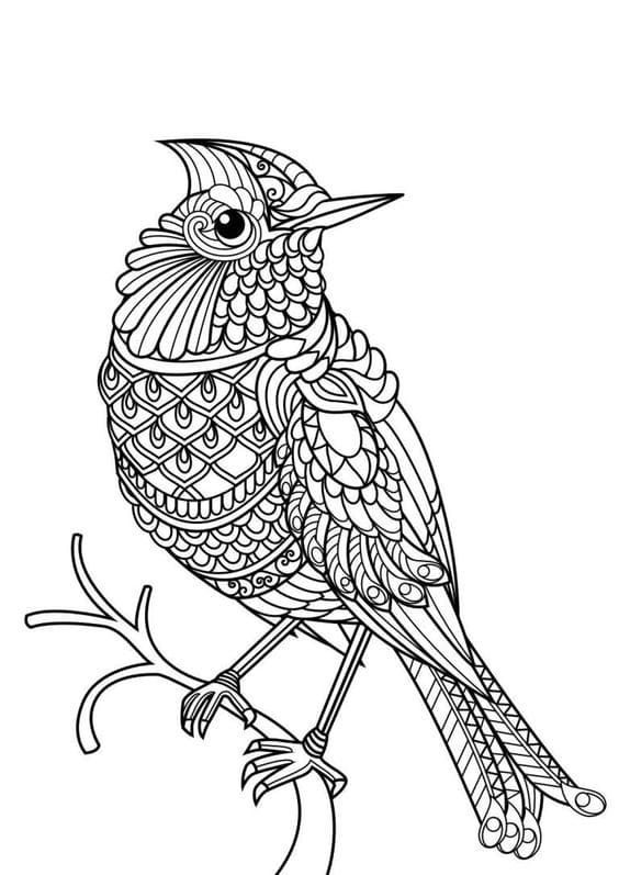 Bird Cute Animal Coloring Pages for Adults Coloring Page