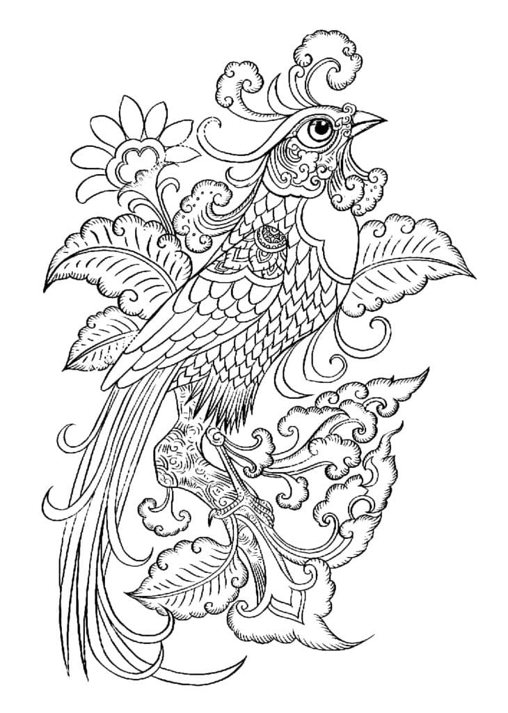 Bird On A Branch Coloring Page