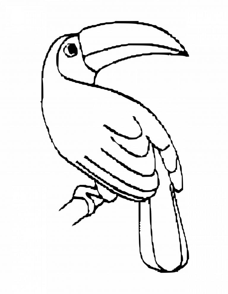 Bird Toucan Free Printable Coloring Page