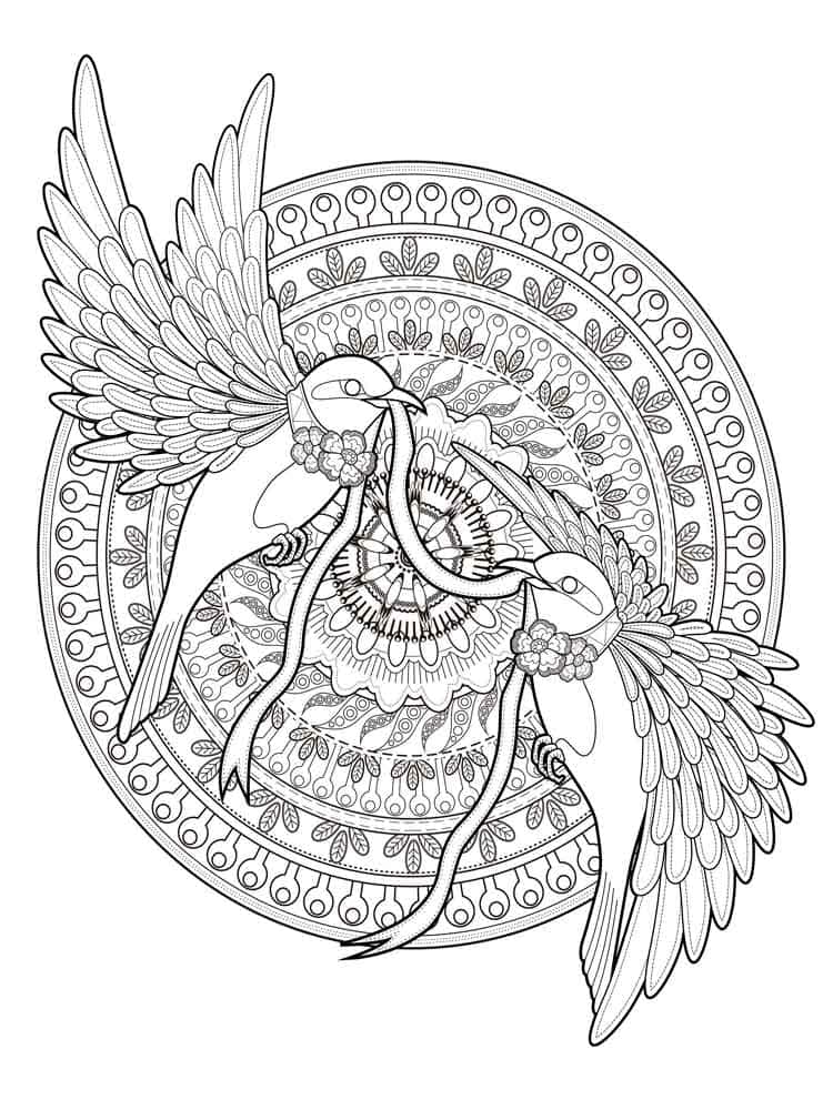 Birds Animal Mandala Coloring Pages Coloring Page