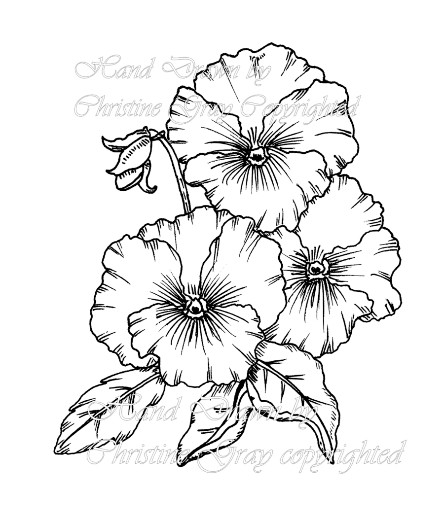 Black And White Clip Art Coloring Page