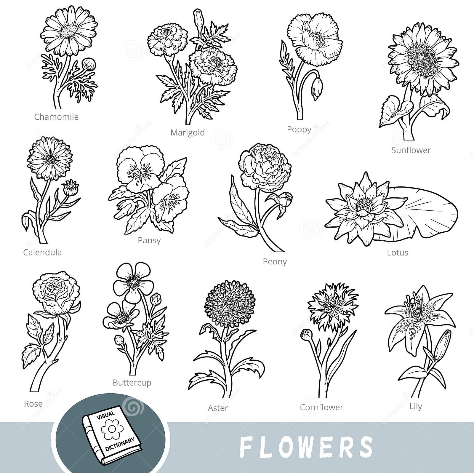 Black And White Set Of Flowers Coloring Page