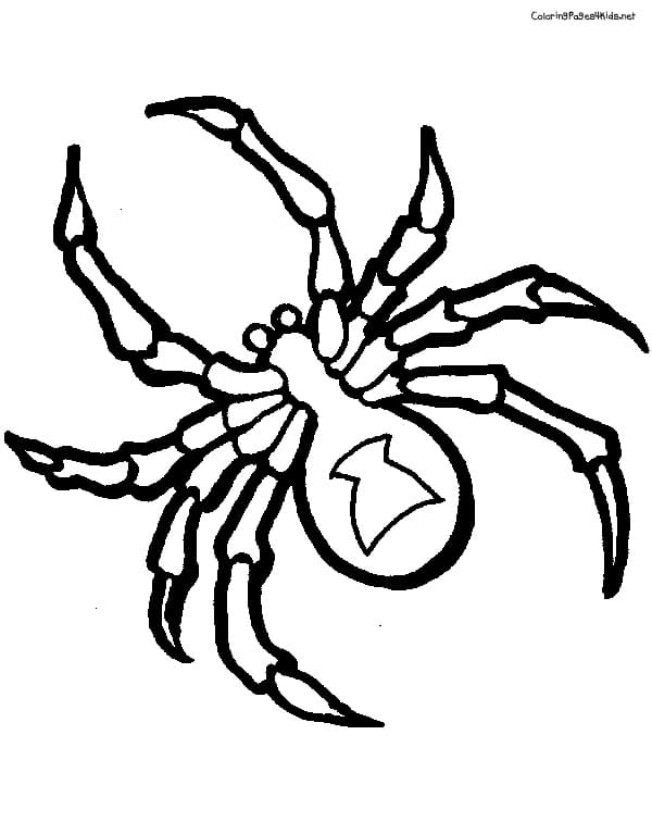 Black Widow Spider Free Printable Cute