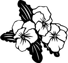 Black and White Pansy Clip Art Picture Coloring Page