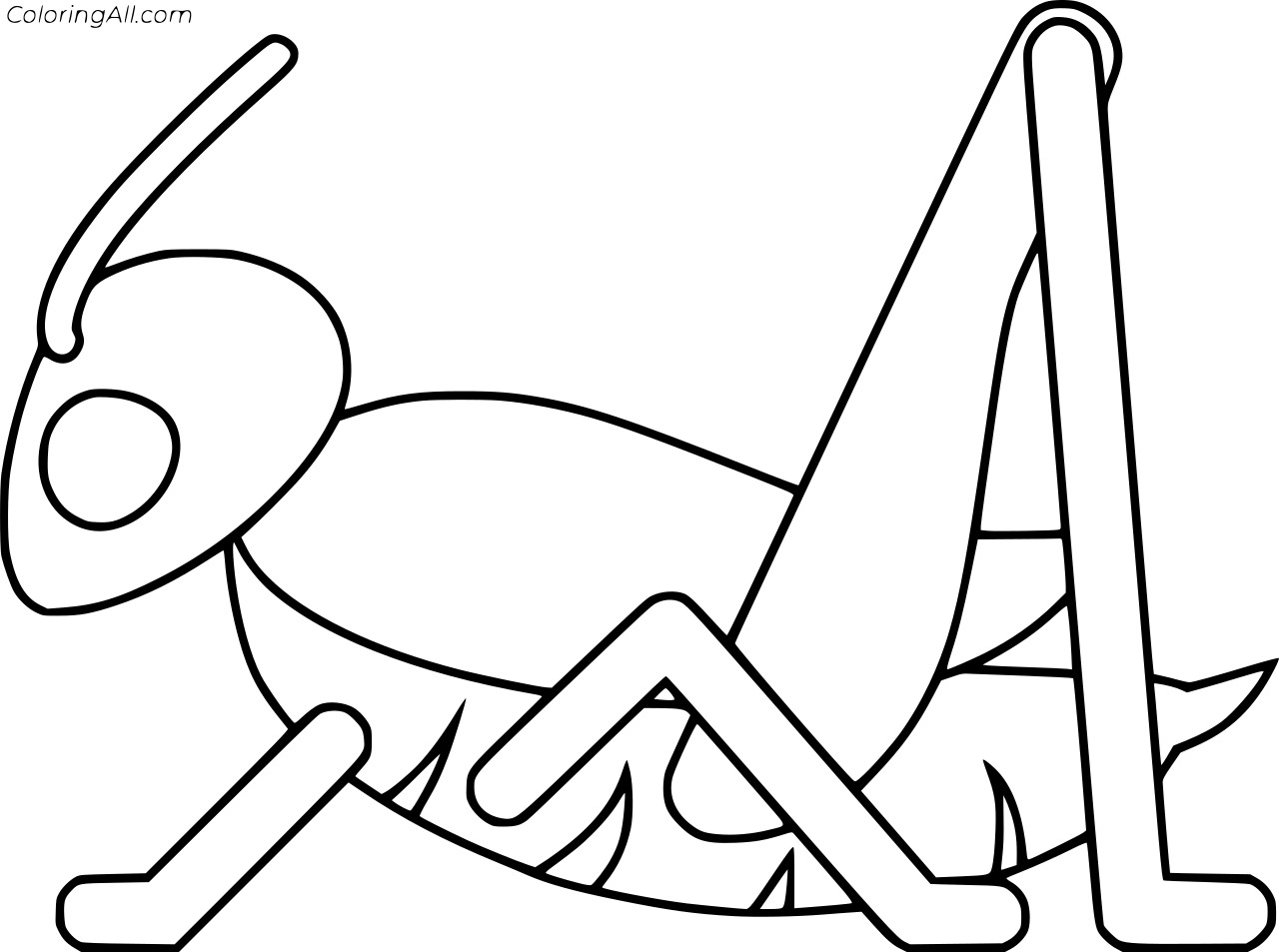 Blank Grasshopper Free Coloring Page