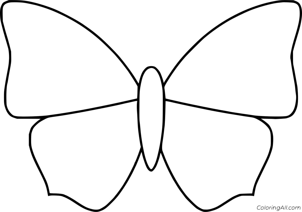 Blank Moth Printable Coloring Page