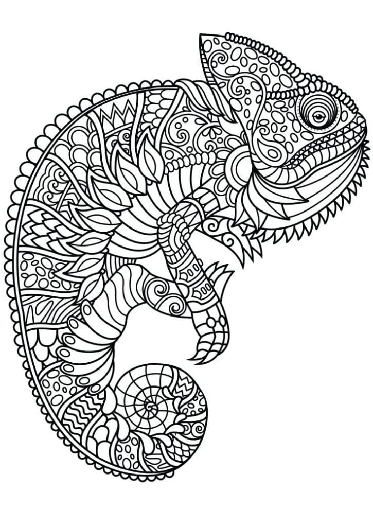 Butterfly Animal Mandala Free Coloring Page