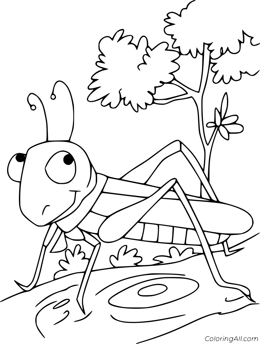 Cartoon Funny Grasshopper Coloring Page