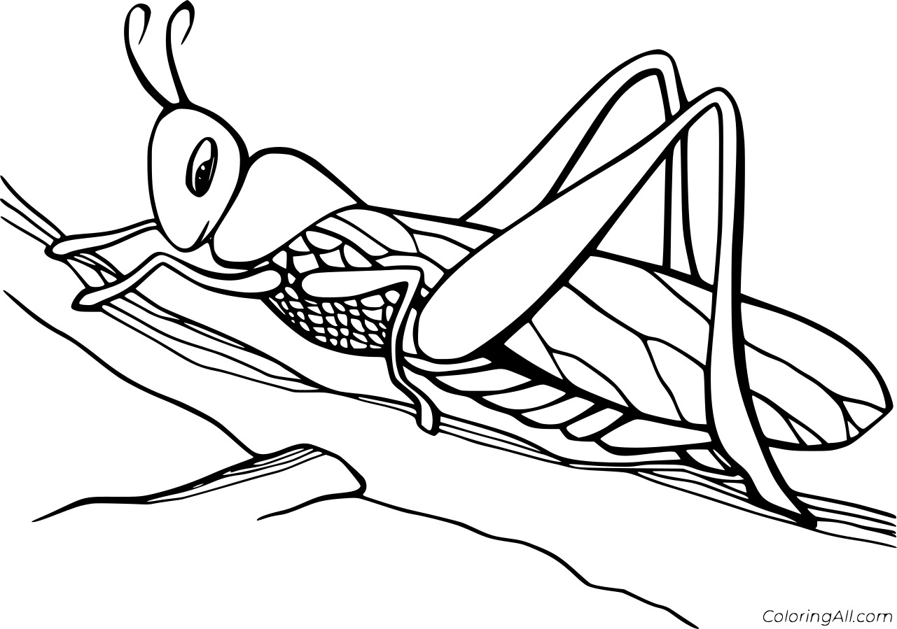 Cartoon Grasshopper on the Tree Coloring Page