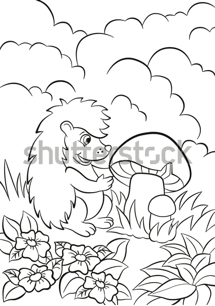 Cartoon Hedgehog Picture Free Coloring Page
