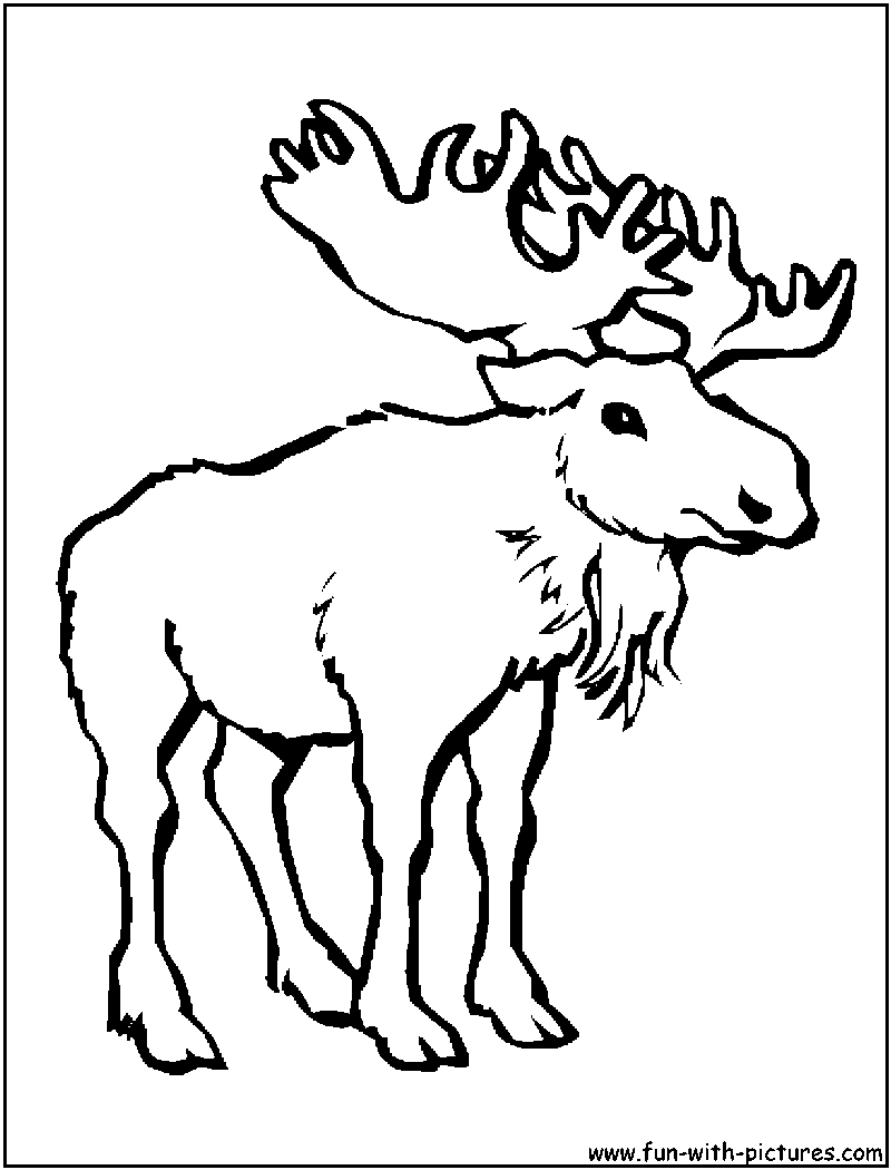 Cartoon Moose Coloring Printable Coloring Page