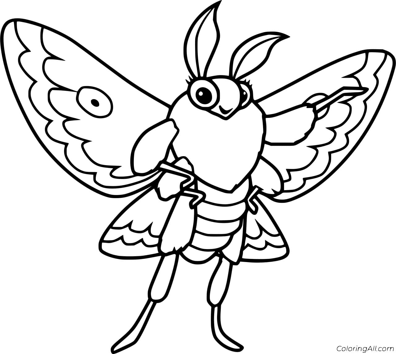 Cartoon Moth Free For Kids Coloring Page