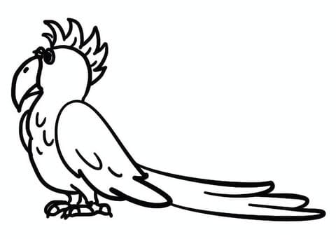 Cartoon Parrot Cute Free Printable Coloring Page