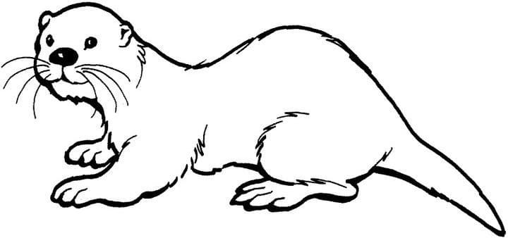 Cartoon Sea Otter Printable Coloring Pages - Coloring Cool