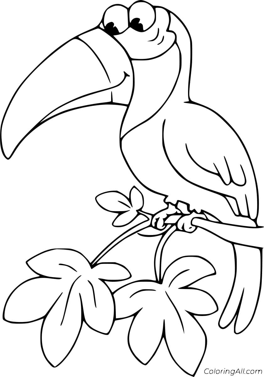 Cartoon Toucan on the Branch Coloring To Print Coloring Page