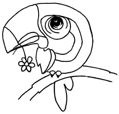 Cartoon Toucan with a Flower in the Beak Free Printable Coloring Page