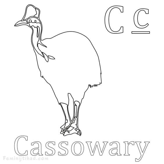 Cassowary Coloring For Kids