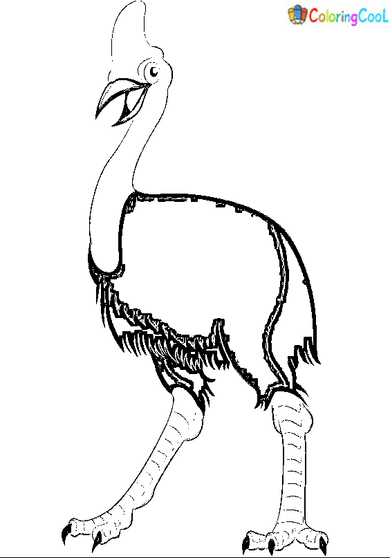 Cassowary Coloring Image