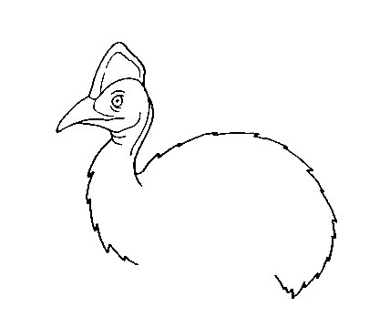 Cassowary-Drawing-3