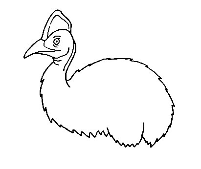 Cassowary-Drawing-4