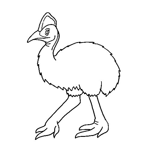 Cassowary-Drawing-6