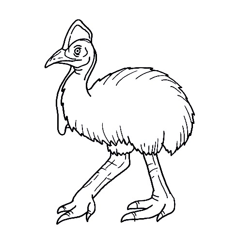 Cassowary-Drawing-7