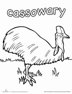 Cassowary Printable Free