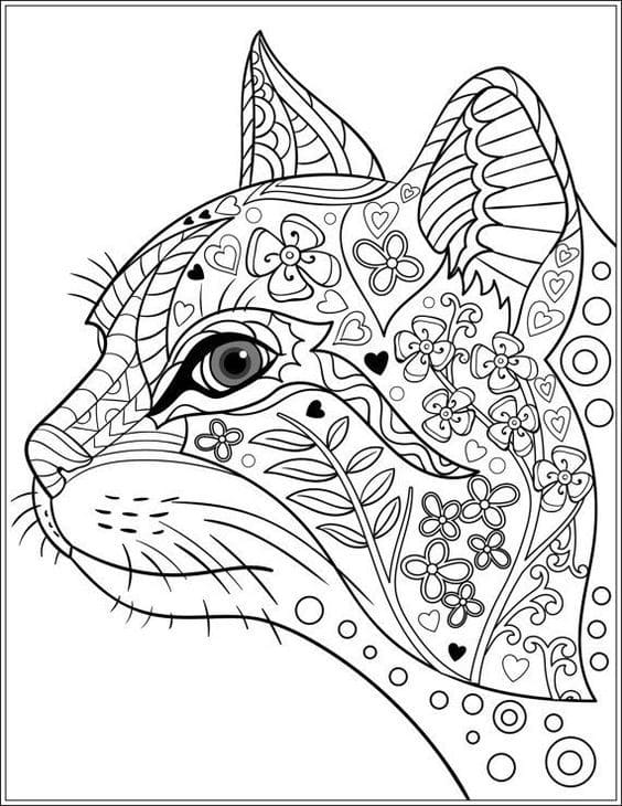 Cat Animal Mandala Coloring Pages Coloring Page