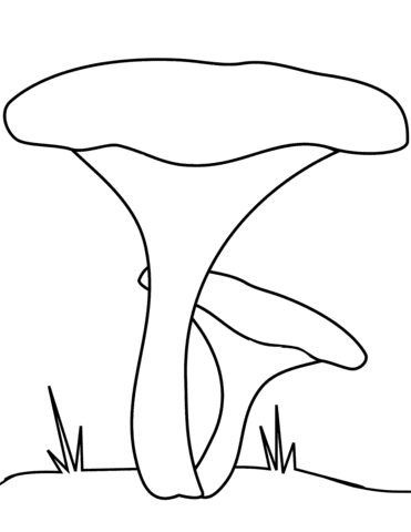 Chanterelle Mushrooms Coloring Page