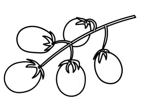 Cherry Tomato Free Coloring Page