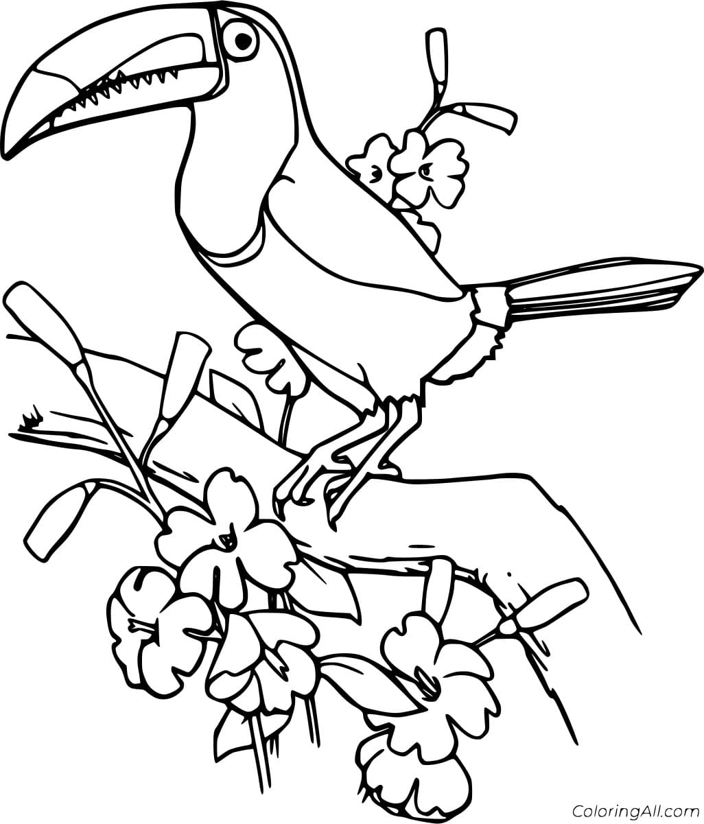 Chestnut Eared Aracari and Flowers To Print Coloring Page