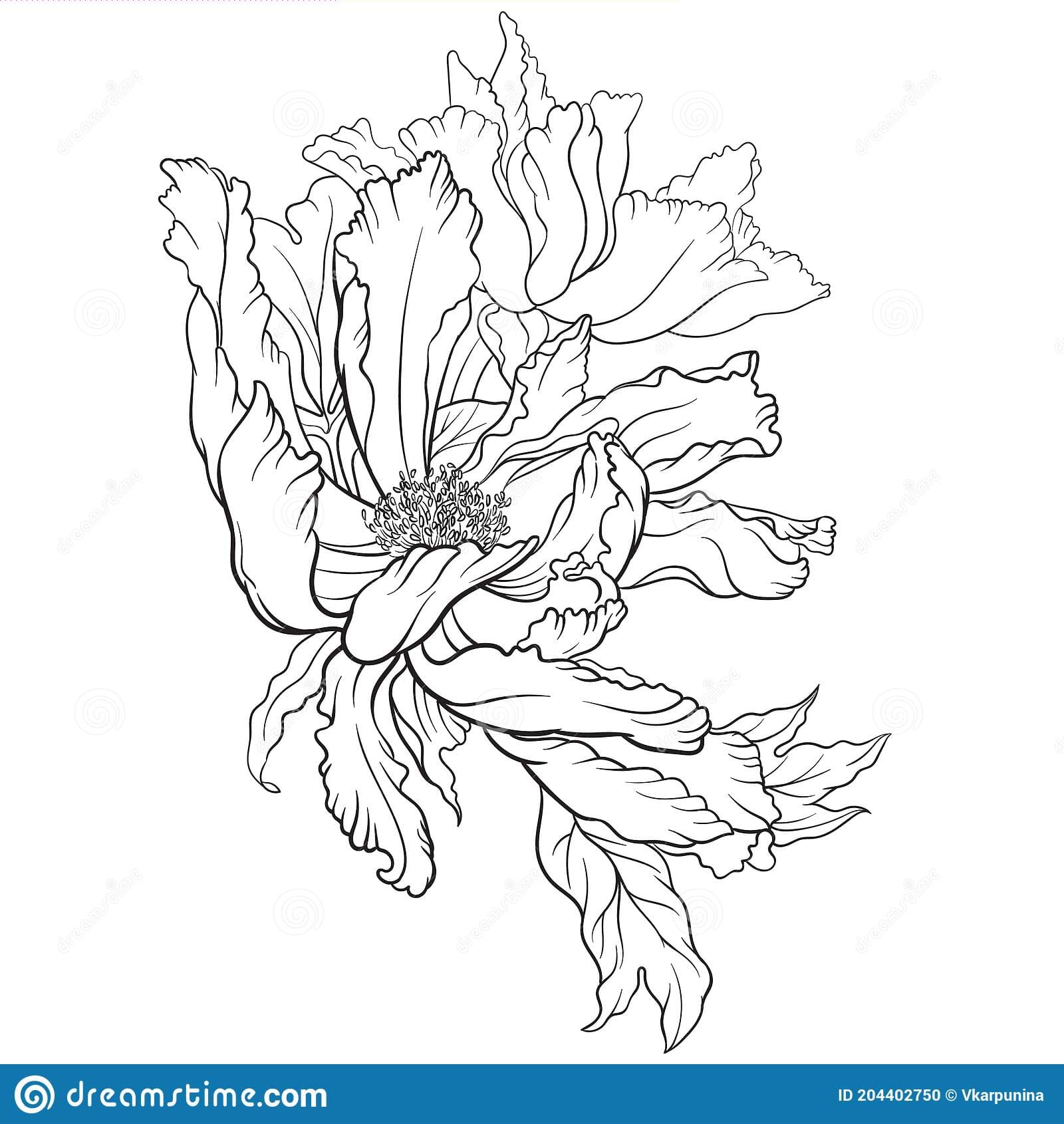 Chinese Peony Black And White Picture Coloring Page