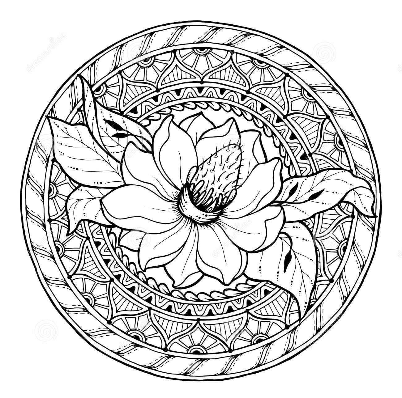 Circle Summer Doodle Flower Ornament Coloring Page