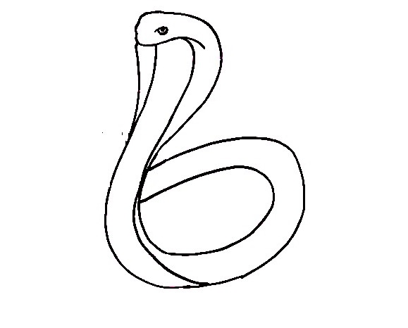 Cobra-Drawing-2