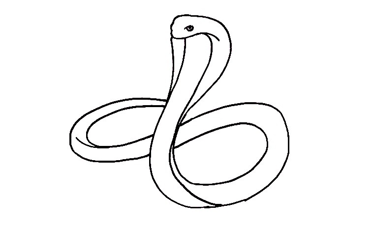 Cobra-Drawing-3