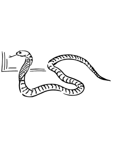 Cobra Snake Free Printable