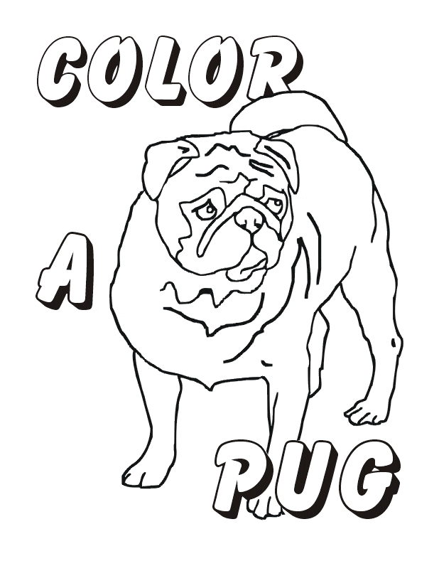 Color a Pug Free Coloring Page