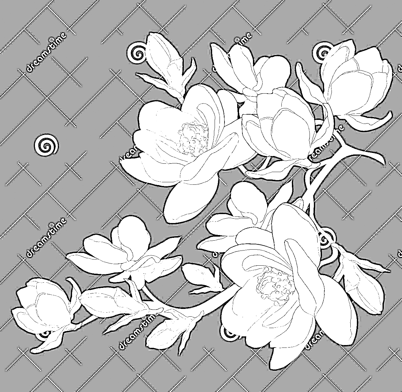 Coloring Magnolia Flower Free Coloring Page