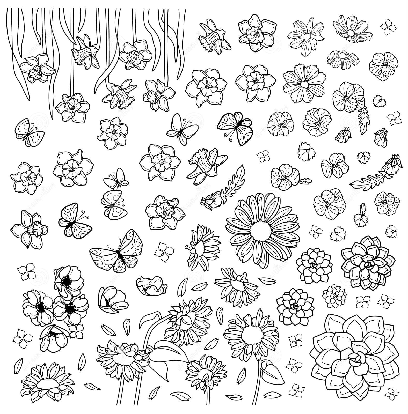 Coloring Page For Children And Adults Free Coloring Page