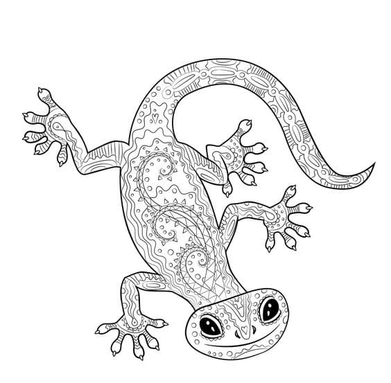 Coloring Page With Gecko Coloring Page