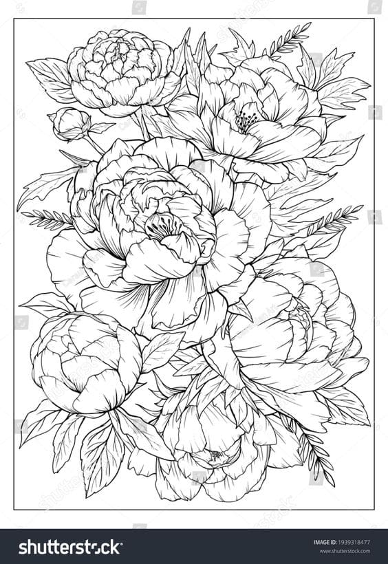 Coloring Peonies Leaves Vector Page Coloring Page
