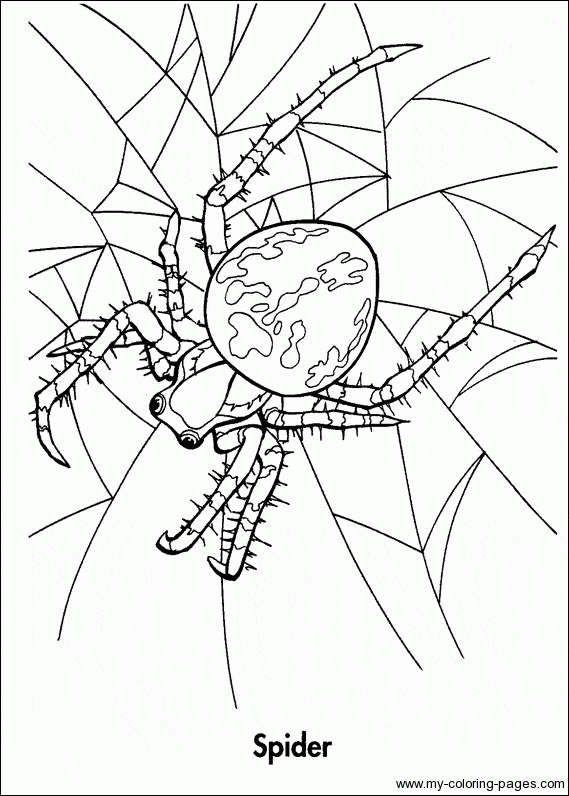 Coloring Spider Free Printable
